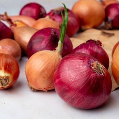 Onion