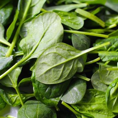 Palak (Spinach)