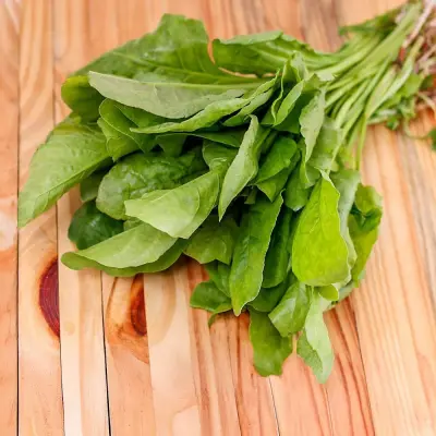 Palak (Spinach)