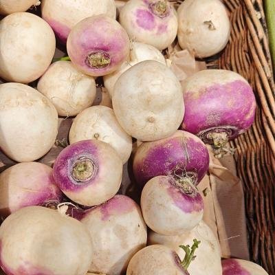 Turnip